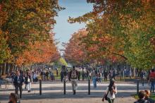 students walking down main mall